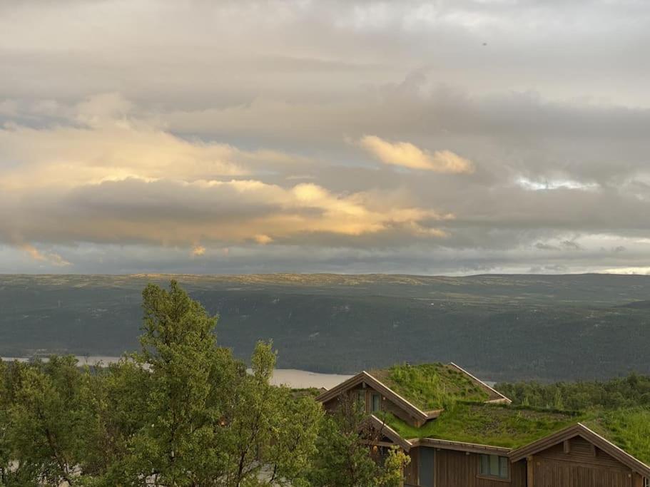 Spacious And Stylish Mountain Lodge - Geilo Kültér fotó