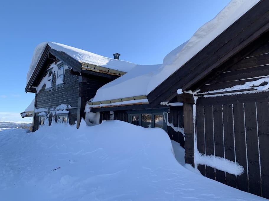 Spacious And Stylish Mountain Lodge - Geilo Kültér fotó