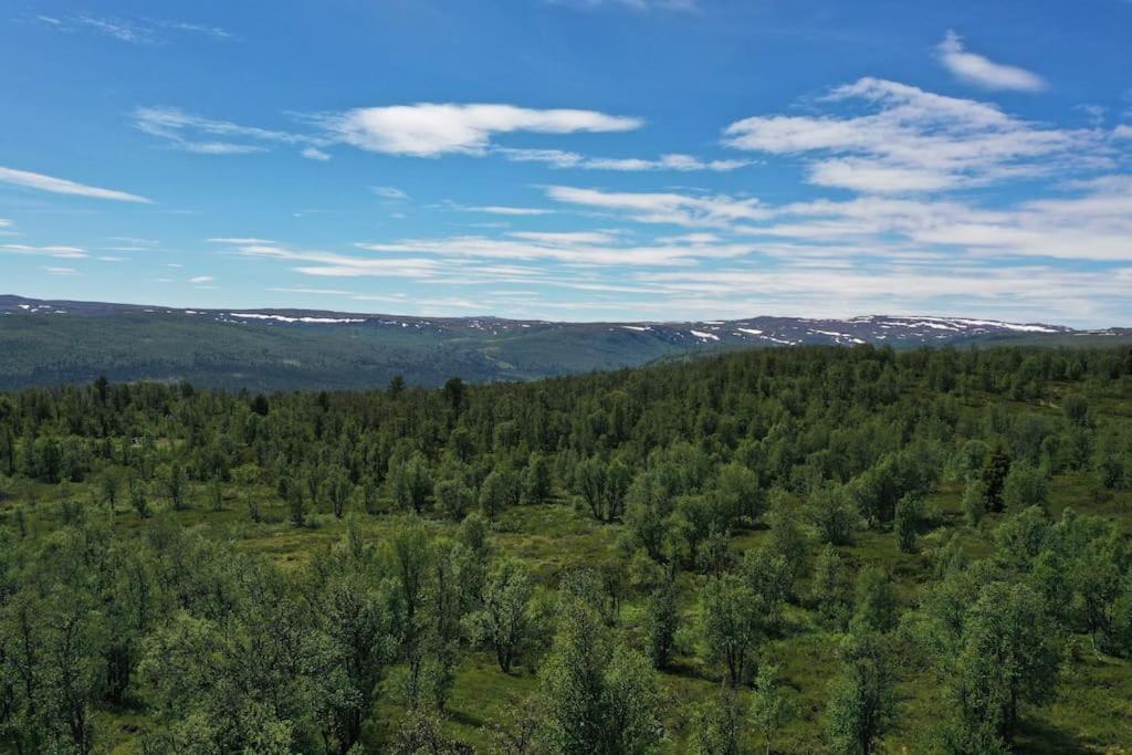 Spacious And Stylish Mountain Lodge - Geilo Kültér fotó