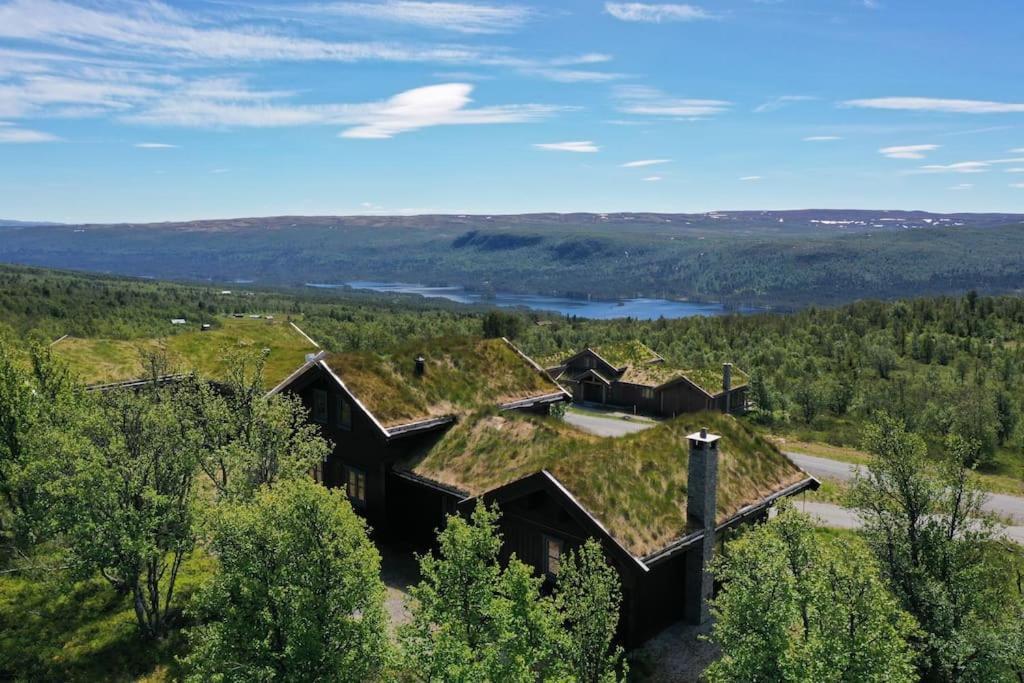 Spacious And Stylish Mountain Lodge - Geilo Kültér fotó