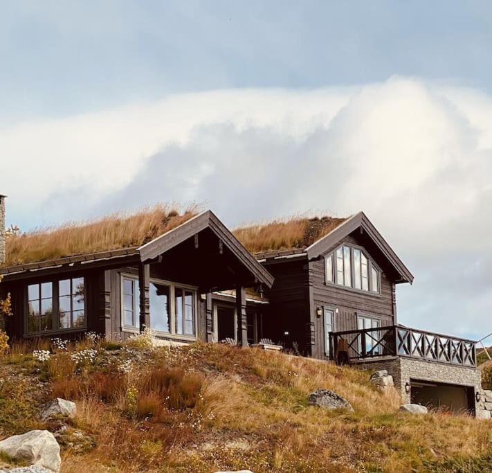 Spacious And Stylish Mountain Lodge - Geilo Kültér fotó